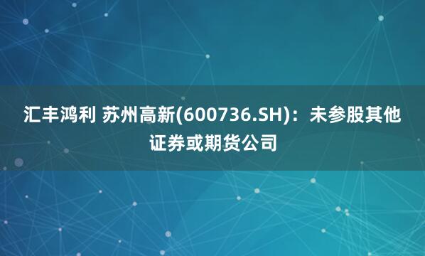 汇丰鸿利 苏州高新(600736.SH)：未参股其他证券或期货公司