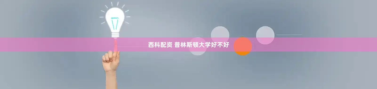 西科配资 普林斯顿大学好不好