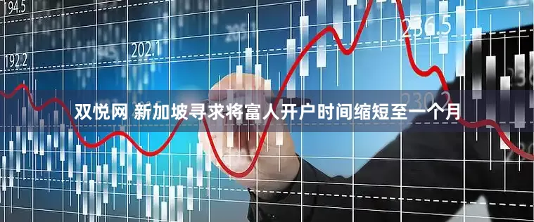 双悦网 新加坡寻求将富人开户时间缩短至一个月