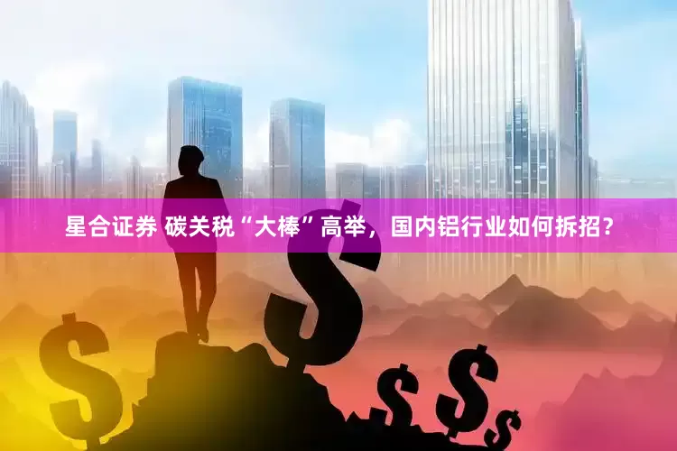 星合证券 碳关税“大棒”高举，国内铝行业如何拆招？